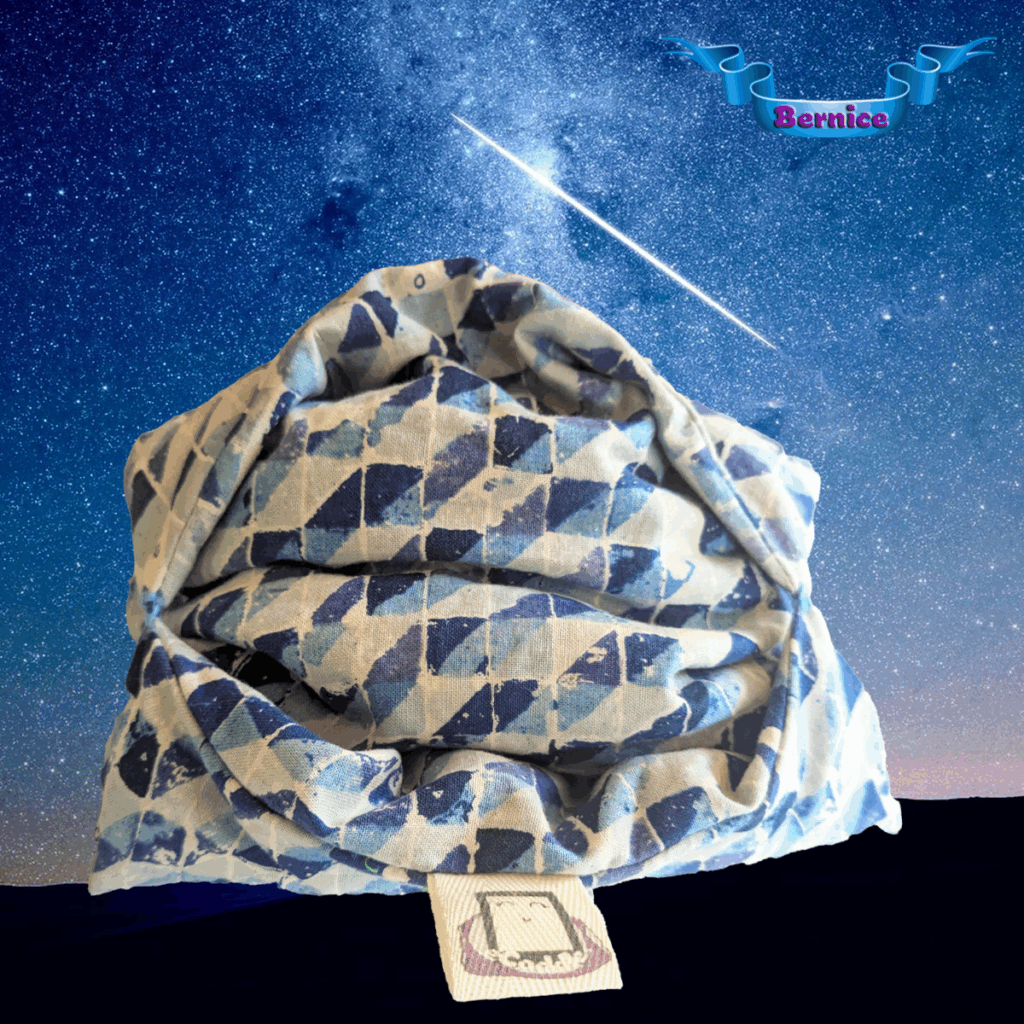 <em>Bernice</em> "Swimming Checks Blue" eCoddle Classic