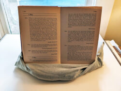 Woo-hoo! What have we here! eCoddle holding a book