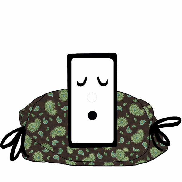 "Tadpole Paisley" eCoddle Versa - Image 9